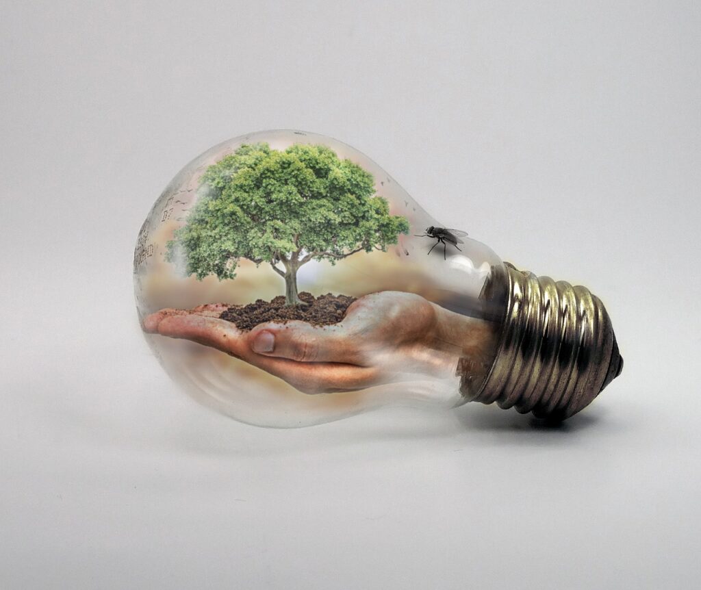 bulb, nature, ecologycurrent-2368396.jpg
